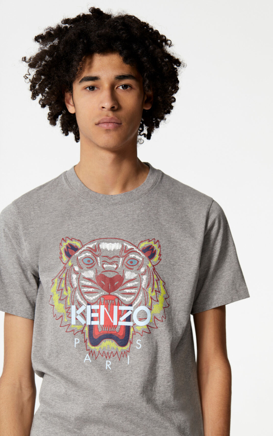 T Shirt Kenzo Tiger Homme Grise | QWYH-62371